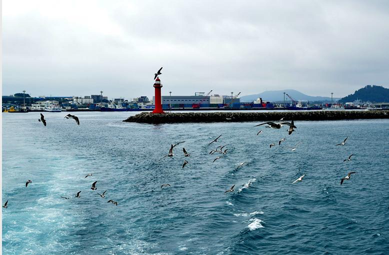 独家爆料韩国旅游乱象,到韩国旅游被宰