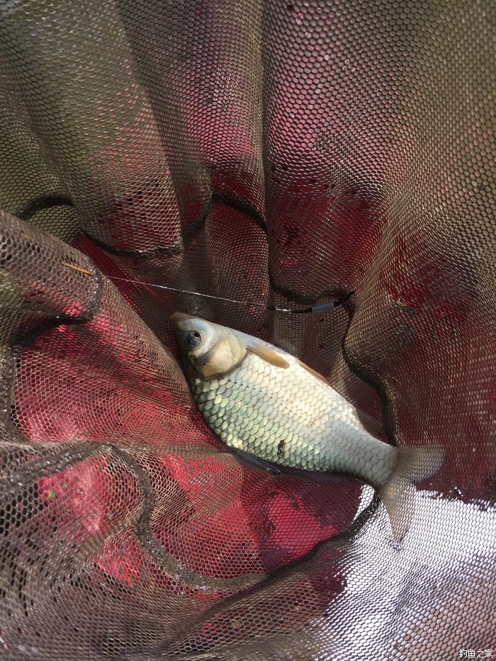 15尺武天k初试水