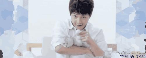 宋仲基与宋慧乔甜蜜,宋仲基与宋慧乔恋爱过程