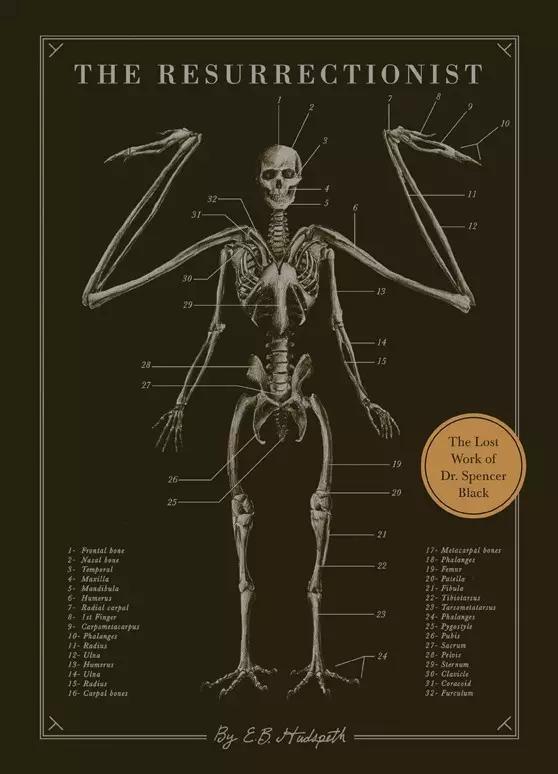 这不科学！游戏怪兽解剖指南