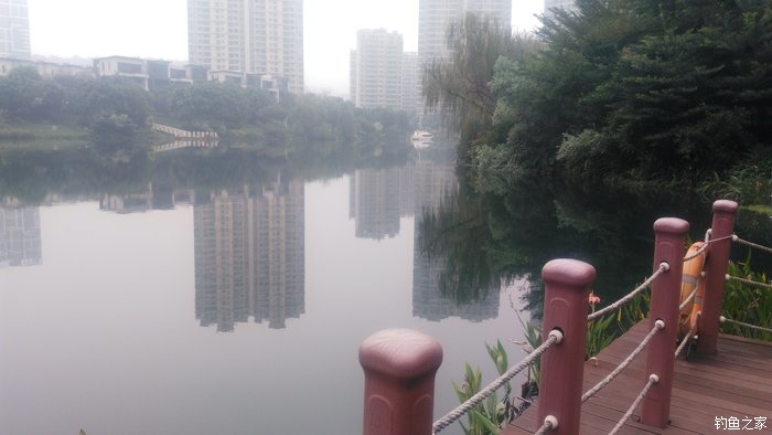 锦鲤迎春鱼跃龙门,锦鲤观赏鱼鸿运当头