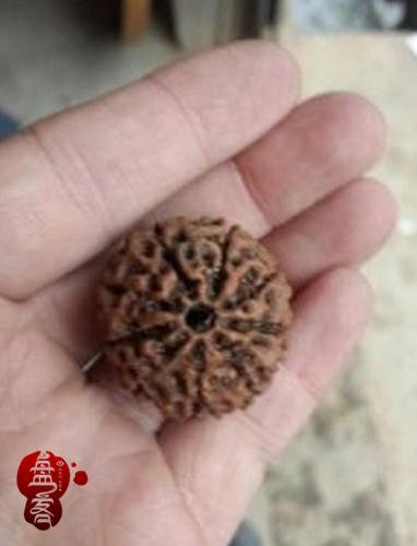 金刚菩提造假 (金刚菩提都用什么造假)