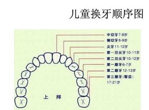 孩子换牙发烧怎么回事,宝宝换牙出牙时会发热吗