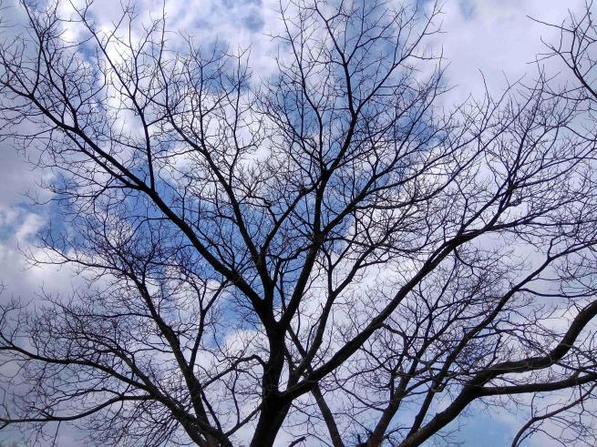 红米note3的拍照方法,红米note3不亮