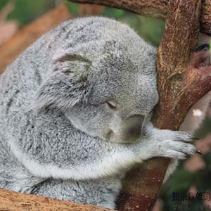 世界睡眠日您睡得还好吗,世界睡眠日揭秘聪明的人都睡得少