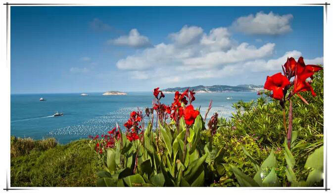 关于东方小希腊枸杞岛的一日游记 (嵊泗枸杞岛一日游攻略)