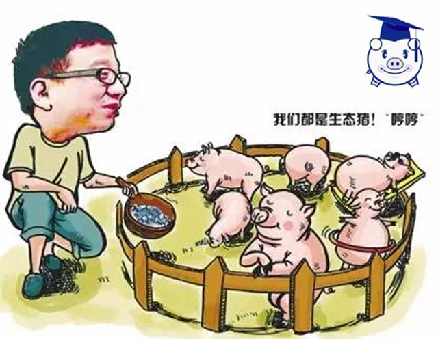 他是互联网大咖上市公司CEO，为什么“不走正道”偏去养猪？