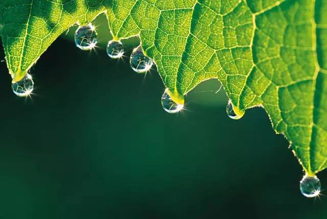 摄影必备三个附件,摄影必备的配件40种