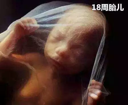 男的会接受女朋友打胎吗,你会建议你的女朋友打胎吗