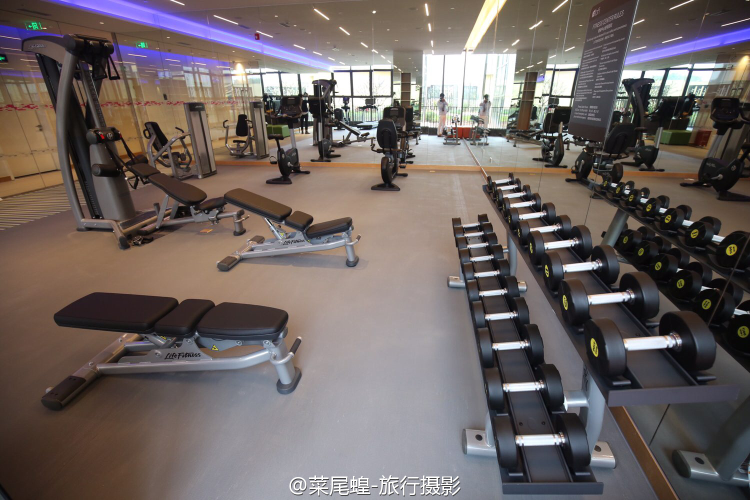 自驾深圳岭南特色地方,深圳自驾发呆的地方