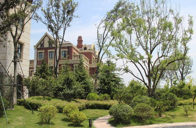 西海岸楼市太疯狂！明星齐聚，大师也不能免俗！