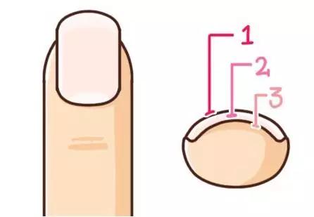 为什么剪指甲指甲会乱飞,剪指甲的时候指甲飞到鼻孔里