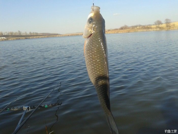 远征远征17,远征17-20