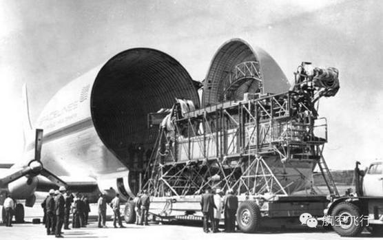 变异变形飞机,变异飞机鹦鹉