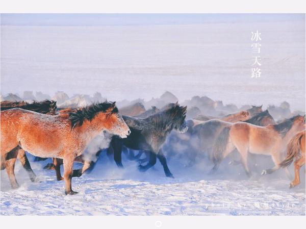 牧马少年歌曲完整版,牧马少年草原