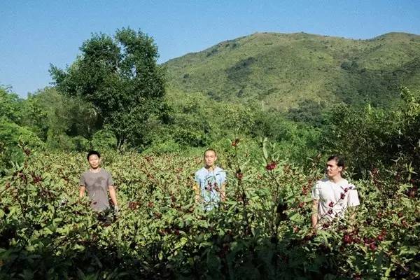 “1/7农”：如果每周只能下地一天，那就试试“懒人务农法”吧