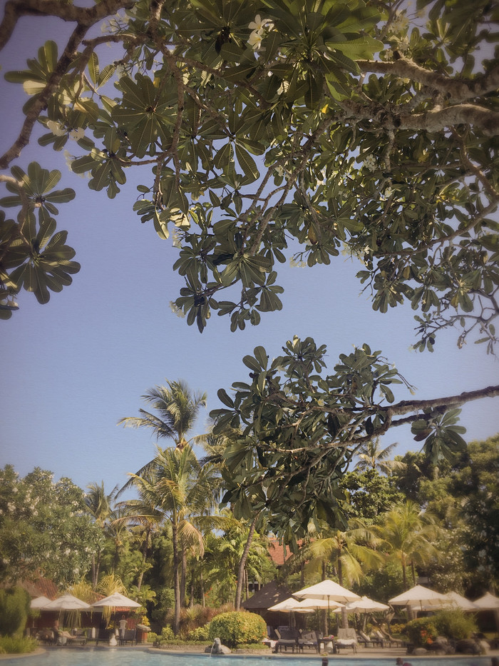 梦幻巴厘只属于你我的蜜月~~逗逼文字、气质趣图