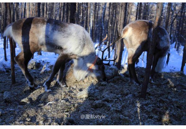 牧马少年歌曲完整版,牧马少年草原