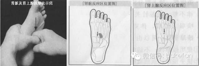 足部子宫反射区出问题怎么治疗,妇科脚底穴位反射区在哪图片