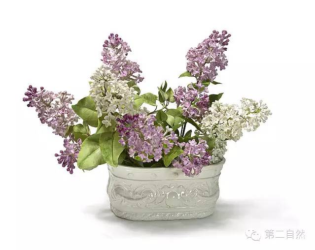 乌克兰大叔和他美到令人窒息的陶瓷永生花