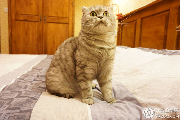 上下层老房改造装修,十万装修71平米老房改造