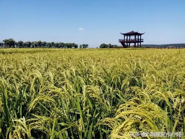 黑龙江十大必游景点推荐,黑龙江最值得去的景点