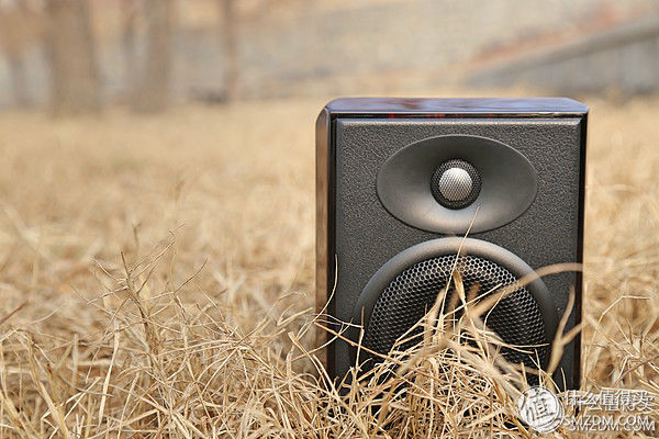 惠威hivim200mkii怎么插话筒,惠威hivim200mkii有源音箱电流音