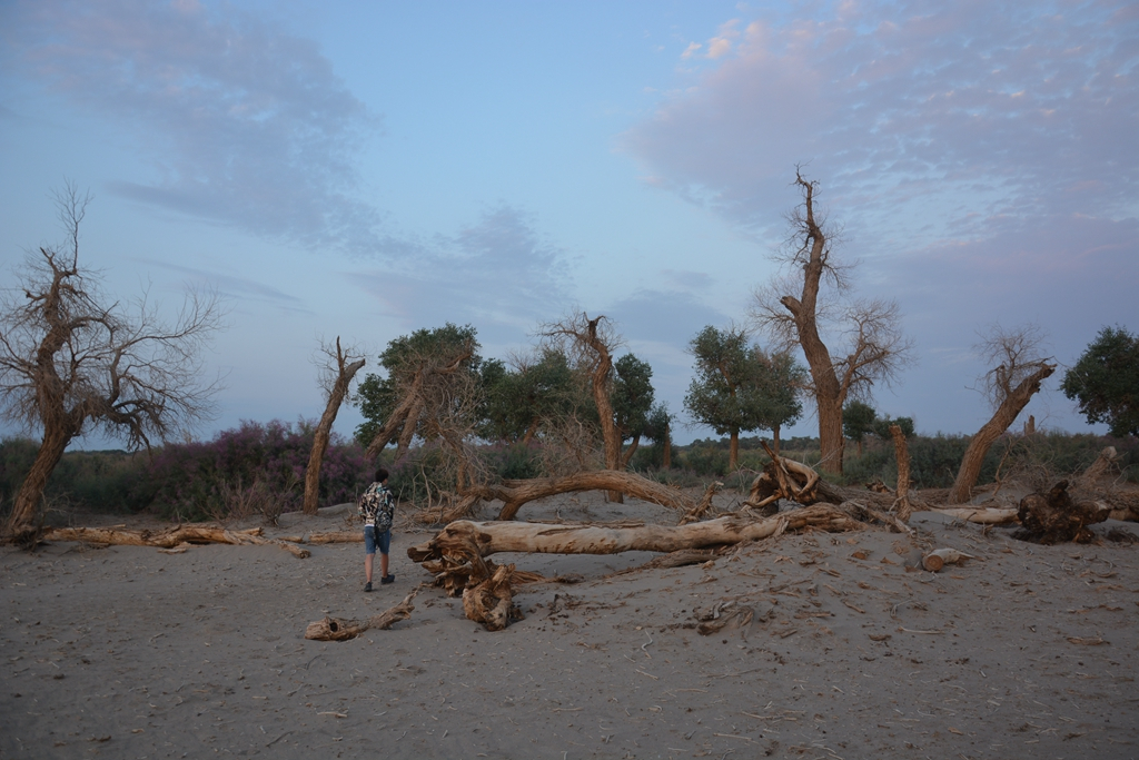 西安到阿拉善左旗自驾游攻略,西安到阿拉善三日游