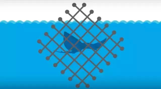 带你了解鱼翅的多种功效,鱼翅的营养真是高级补品吗