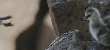 豆瓣9.7的冷门好片，送给每个热爱生命的人