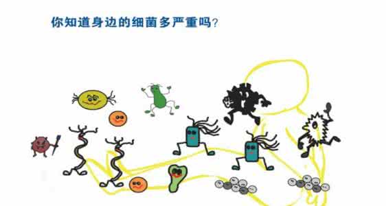 白果粥的功效与禁忌,白果粥的功效和作用