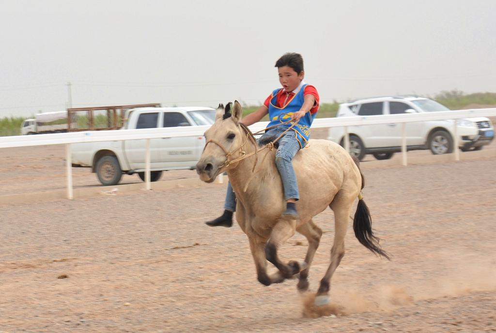 西安到阿拉善左旗自驾游攻略,西安到阿拉善三日游