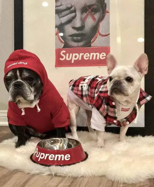 200块钱左右的礼物,200块钱礼物