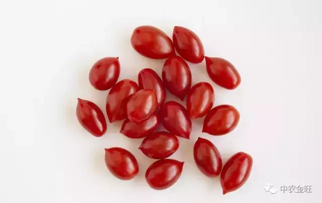 迷你农业怎么做,网红迷你农业怎么玩