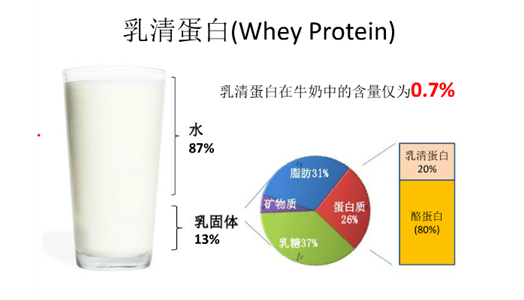 什么牌子的蛋白粉最好,如何选择优质蛋粉
