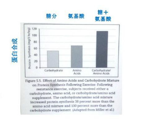 什么牌子的蛋白粉最好,如何选择优质蛋粉