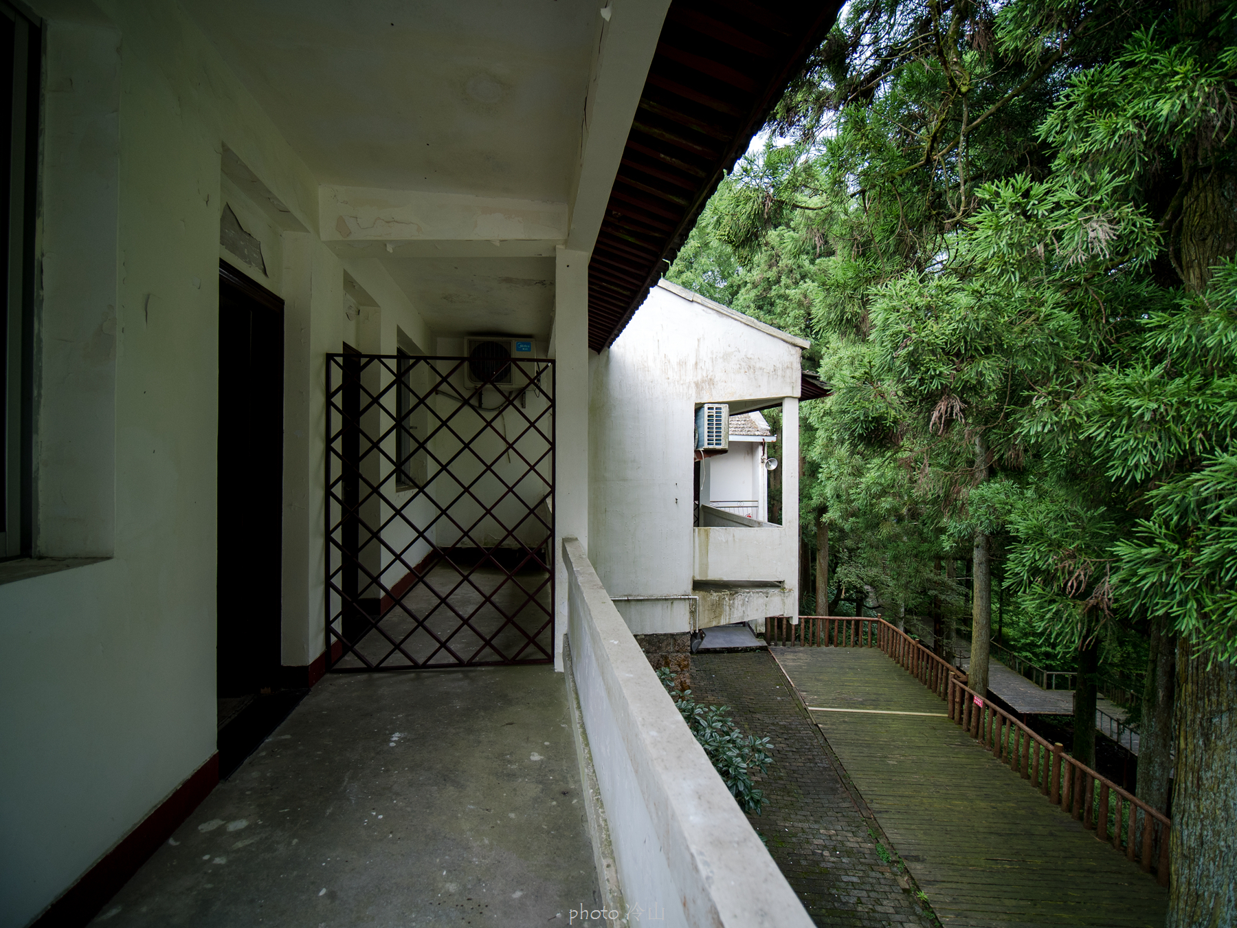 华顶千年杜鹃林,天台山石梁瀑布华顶杜鹃