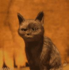 凌美钢笔与普通钢笔有什么区别,凌美钢笔选择