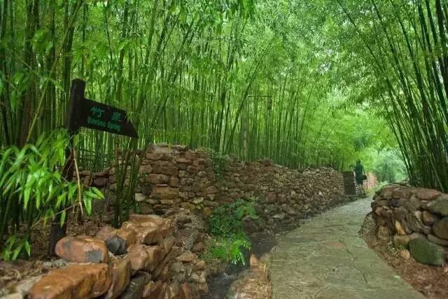竹泉村景区,竹泉村咋样