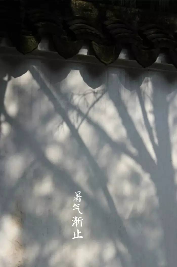 24节气之处暑｜四时俱可喜最好新秋时