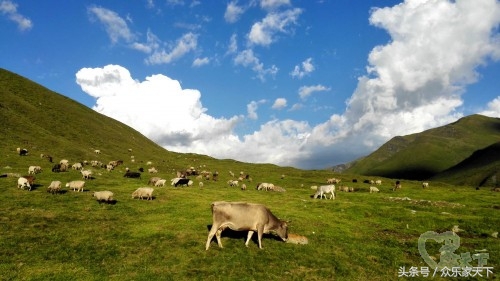 北京自驾新疆伊犁10天最佳路线,北疆大环线10天自驾费用