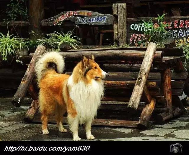 如何做新零售加盟,如何做新零售开店