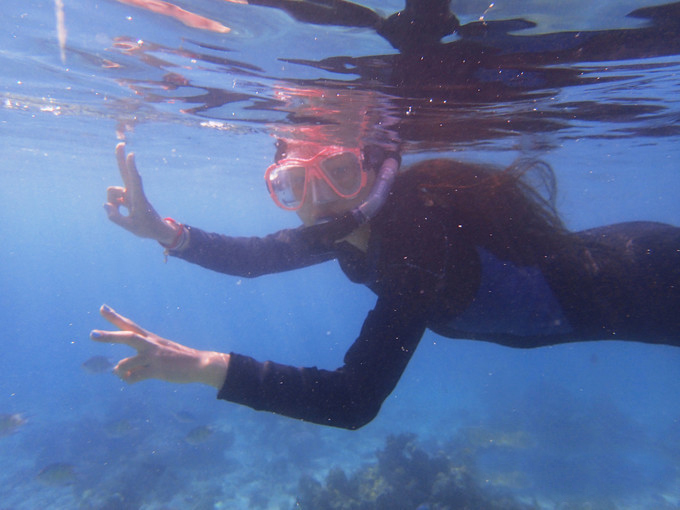 马来西亚考潜证攻略——玻璃水的仙本那不仅景美考潜证还便宜