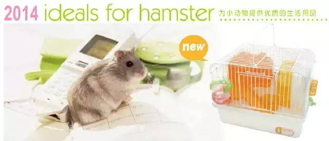 亚宠展第二弹的宠物,亚宠展有爬宠吗