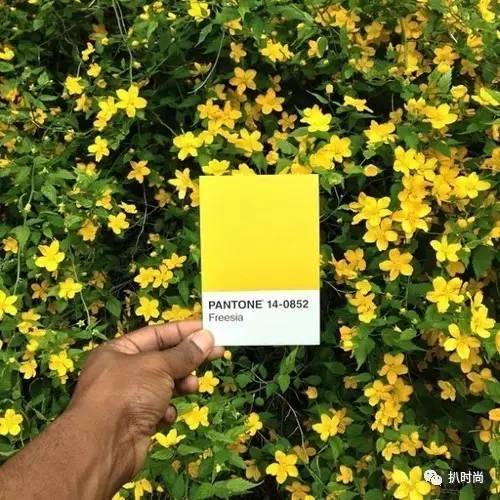 pantone潘通灰色号,pantone潘通色怎么查色值