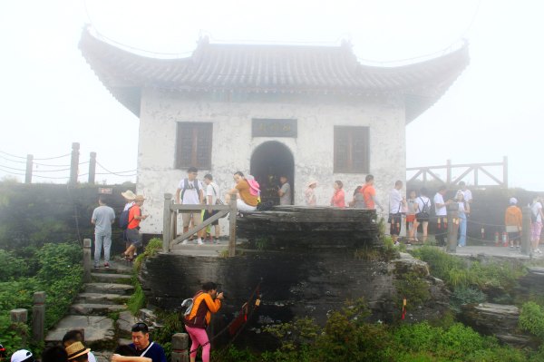 天天有人去山上采蘑菇,每天来观看的游客上万人