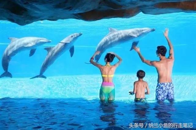 珠海长隆横琴湾酒店:这里不仅是吃货天堂,更让酒店控亮瞎眼!