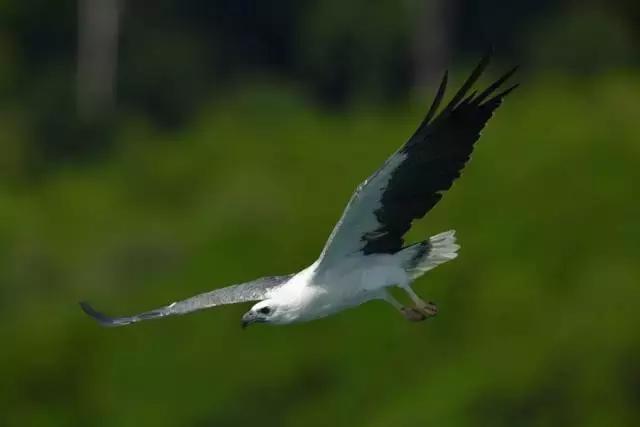 30秒了解佳能90d,40秒了解佳能