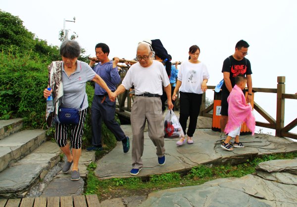 天天有人去山上采蘑菇,每天来观看的游客上万人