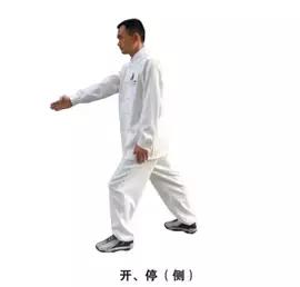 脚斗裁判手势,裁判手势详解视频教程